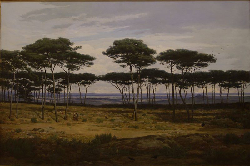 Alexandre N. Roussoff Les pins de Pledeliac